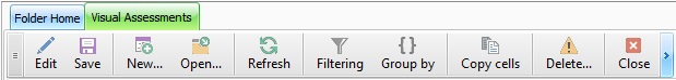 VisualAssessmentTootbar.jpg