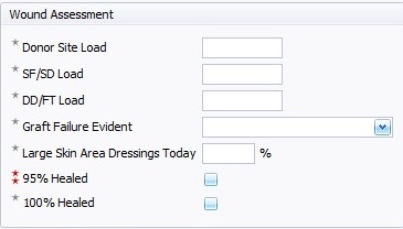 Wound Assessment