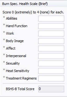 BurnsSpecHealthScale