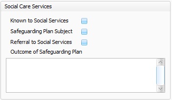 Social care services causation.jpg