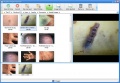 Acquire images from files .jpg