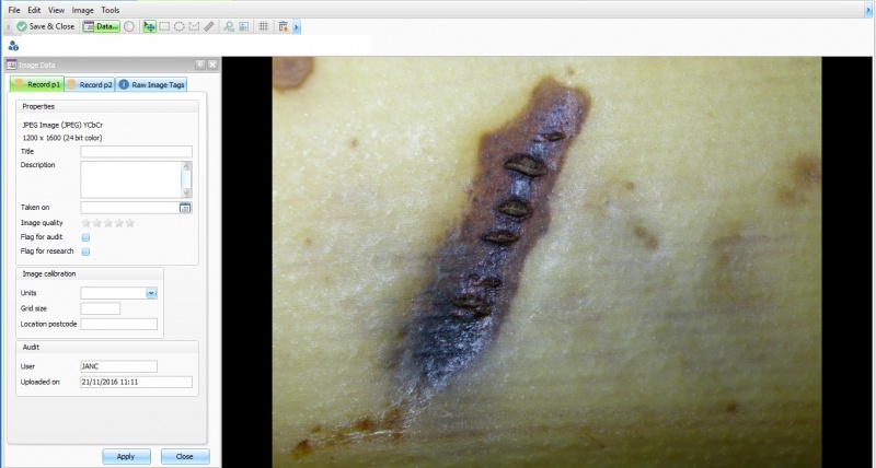 Large Image View.jpg