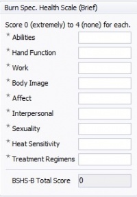BurnsSpecHealthScale