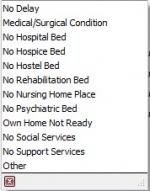 Discharge Delayed By