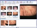 Thumbnail for version as of 15:47, 11 April 2019