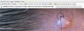 Thumbnail for version as of 11:06, 16 February 2017
